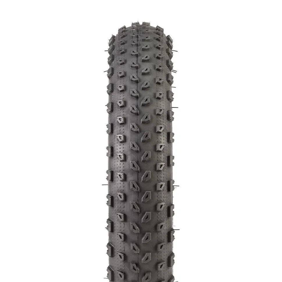 Bontrager XR1 Kids 2.25"