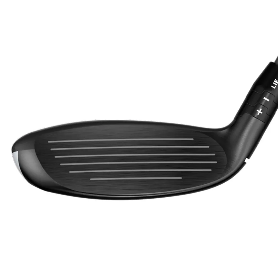 Quantum Max OS Hybrid