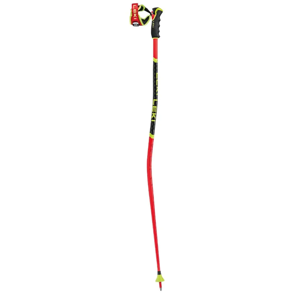 WCR GS 3D